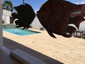 Apartamento Lagunita Aruba