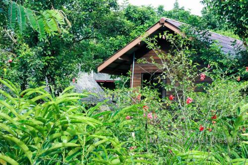 Hotel Khao Sok Morning Mist Resort