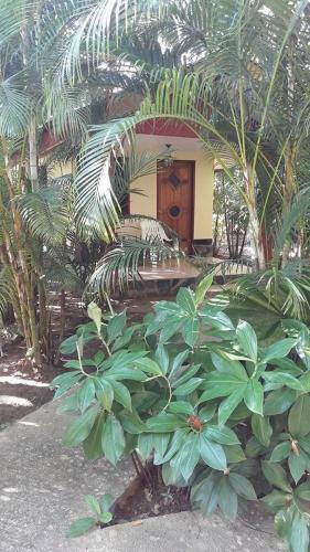 Hotel Khao Sok Holiday Resort