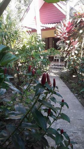 Hotel Khao Sok Holiday Resort