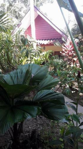Hotel Khao Sok Holiday Resort