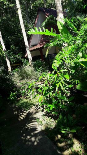 Hotel Khao Sok Holiday Resort