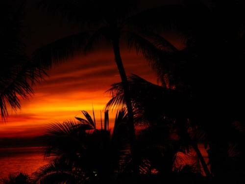 Sibaja Palms Sunset Beach Luxury Apartments