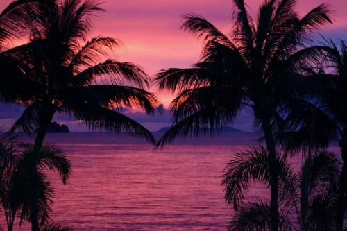 Sibaja Palms Sunset Beach Luxury Apartments