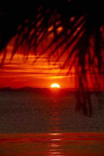 Sibaja Palms Sunset Beach Luxury Apartments