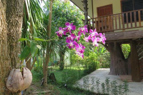 Hostal Macura Resort