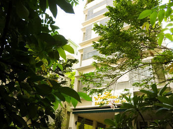 Posada Baansilom Soi 3