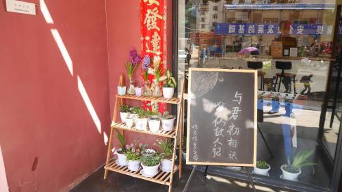 Zhangjiajie Peakcap Backpacker Hostel