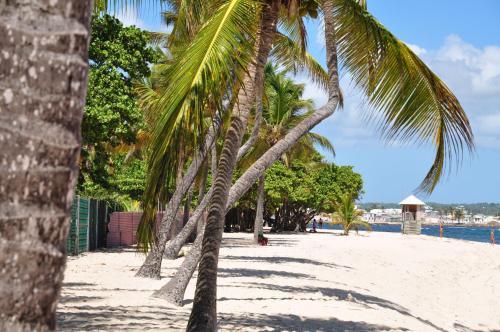 Apartamento R�sidence Tropicale