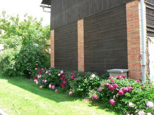 Hostal Guest House Pod H�jkem