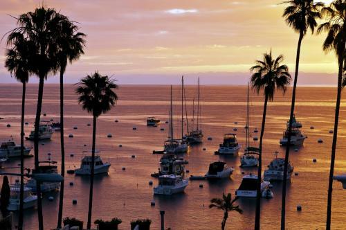 The Avalon Hotel In Catalina Island