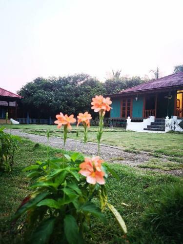 Kampong Pak Ali