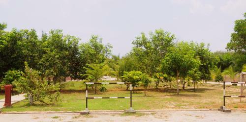Kampong Pak Ali