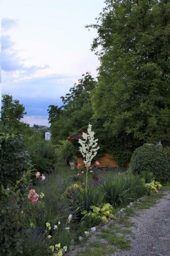 Bed And Breakfast Villa Dvor