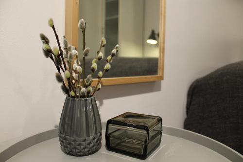 Jansvej Homestay