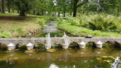 Apartment Butterfly Hlavni