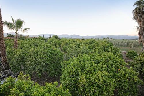 Agroturismo Casa Rural T�pica Andaluza
