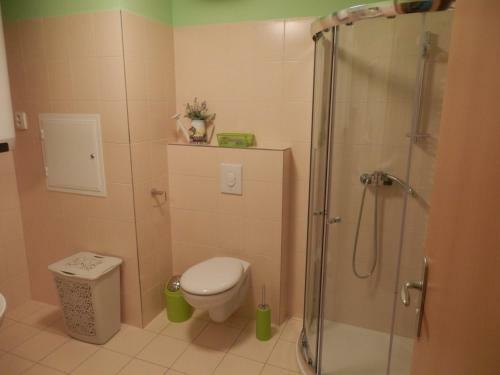 Apartamento Ubytov�n� U L�zn� Aurora
