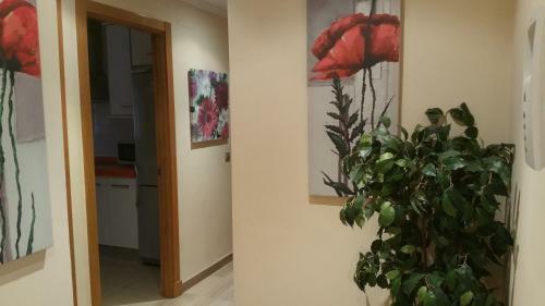 Apartamento Victoria
