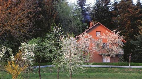 Apartamento Haus Hollerbusch