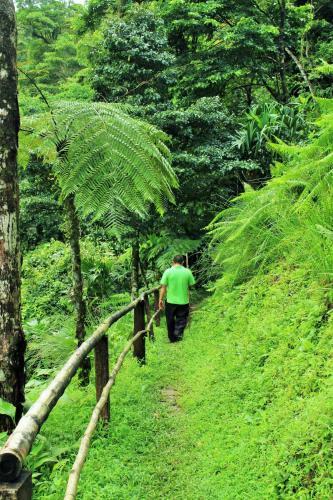 Villa Tavida Lodge