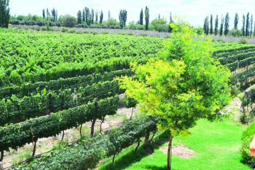 Hotel Chaglasian Wine & Suites