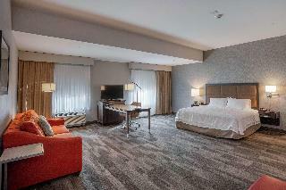 Hotel Hampton Inn & Suites Georgetown/austin North