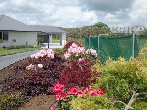 Bed & Breakfast Matangi Oaks Boutique B & B