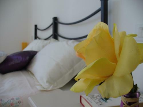 B&B Le Erbette
