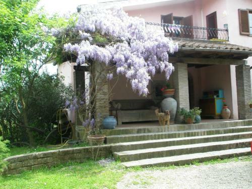 B&B Parco Di Veio