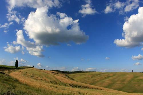 Hotel Cordella In Montalcino Wine Resort