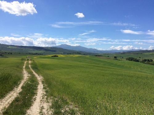 Hotel Cordella In Montalcino Wine Resort