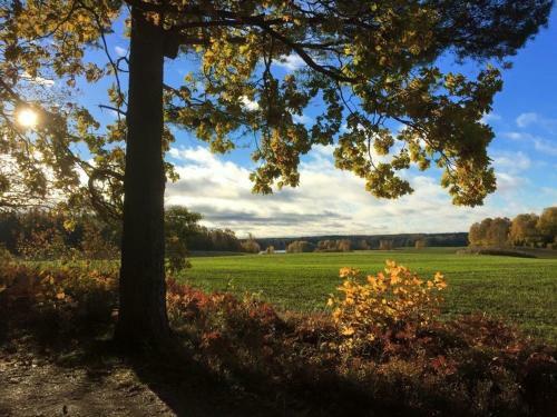Albergue Stora Djul� Vandrarhem