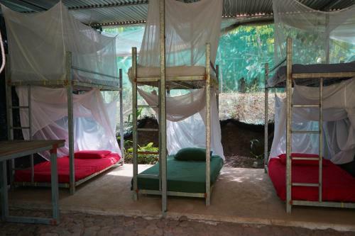 Utopia Tica Organic Farm & Hostel