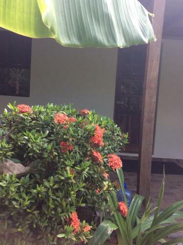 Hotel Casa Cigalou Tamarindo