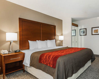 Hotel Comfort Inn Denver East