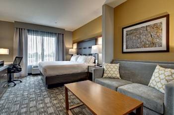 Holiday Inn Express Hotel & Suites Albany