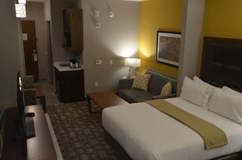 Holiday Inn Express Hotel & Suites Albany