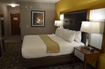 Holiday Inn Express Hotel & Suites Albany