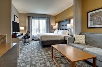 Holiday Inn Express Hotel & Suites Albany