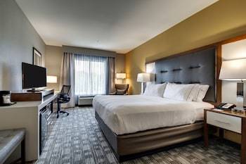 Holiday Inn Express Hotel & Suites Albany