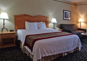 Hotel Quality Inn & Suites University