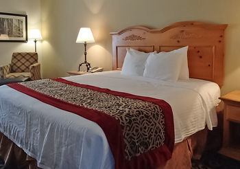 Hotel Quality Inn & Suites University