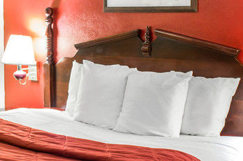 Hotel Comfort Inn Washington
