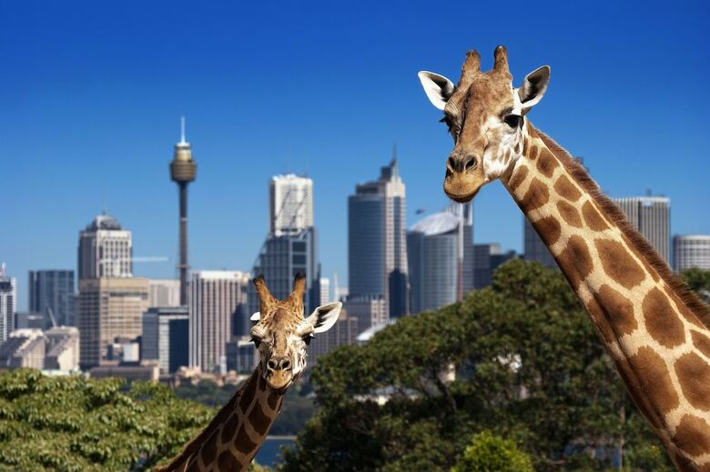 Hotel Metro Apartments On Darling Harbour - Sydney