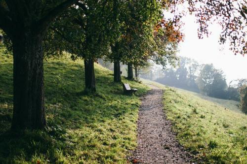Bed & Breakfast Motel Bl�mel