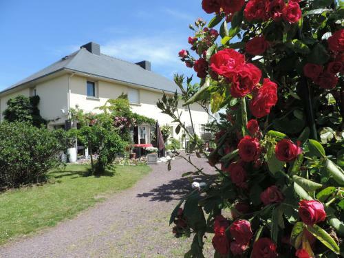 Bed & Breakfast Villa Des Hortensias