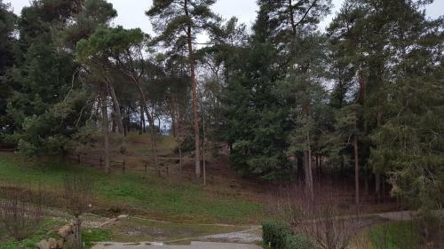 Agroturismo Agriturismo Podere Montese