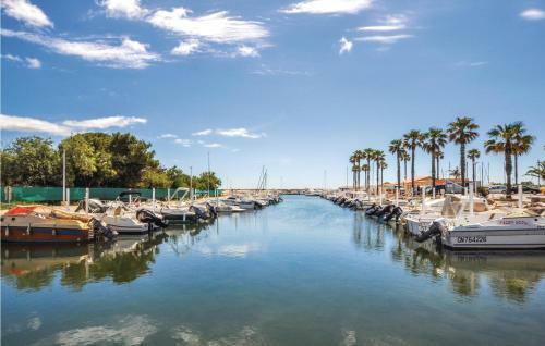 Holiday Home Saint Cyprien Plage 01