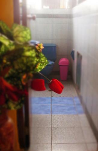 Hostal Summer Dreams
